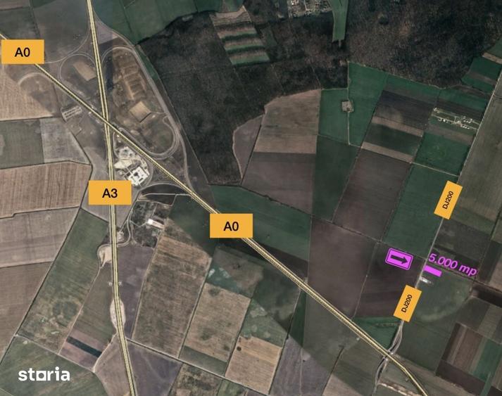 Teren de 5000 mp, în Afumați