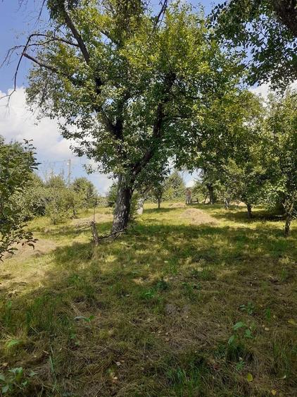 Teren de 1700 mp, în Mateiaș