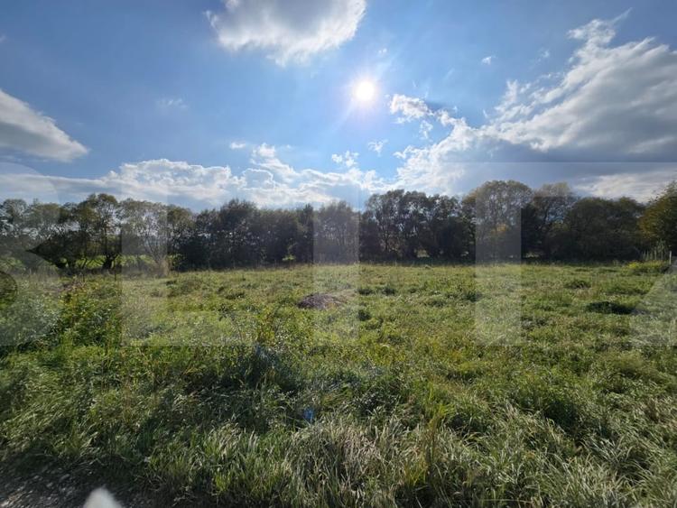 Teren agricol intravilan de 1200 mp, în Sălicea