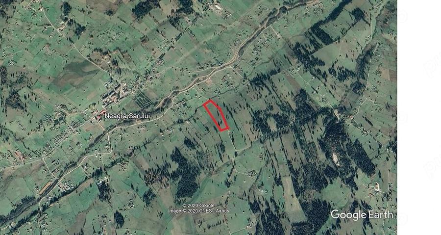 P.F., teren 22.500 mp la munte, Neagra Sarului, panorama, acte in regula. - 5