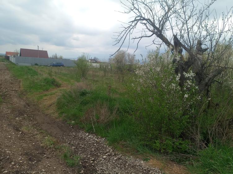Teren intravilan de 500 mp, în Sânpetru