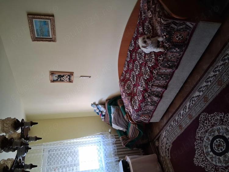 Apartament cu 3 camere semidecomandat în Dacia