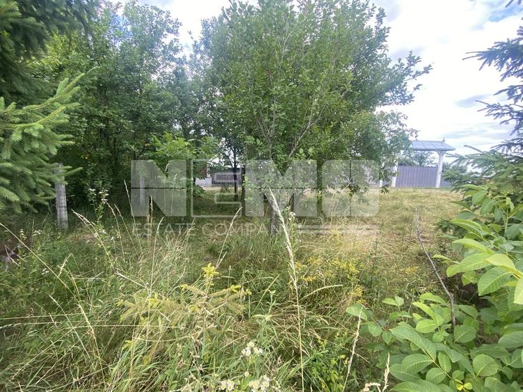 Teren Construcții intravilan de 2000 mp, în Frătăuții Noi