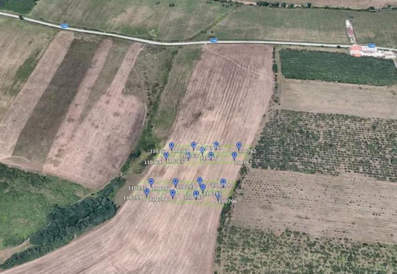 Teren agricol extravilan de 600 mp, în Rusciori