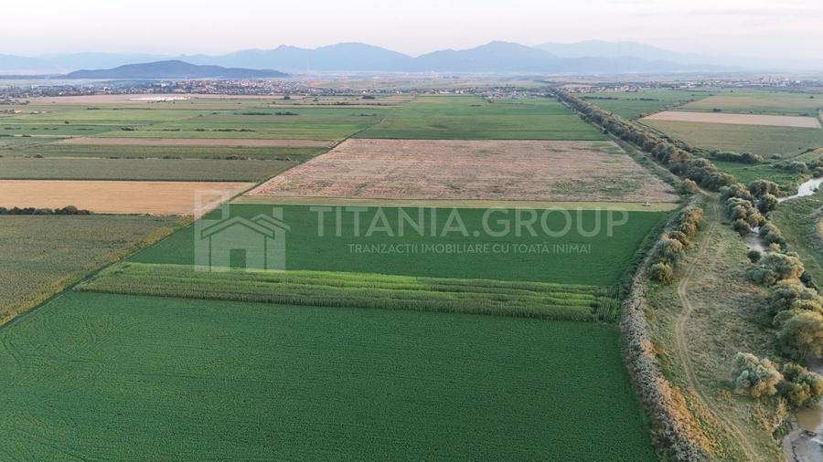 Teren agricol extravilan de 8700 mp, în Bod