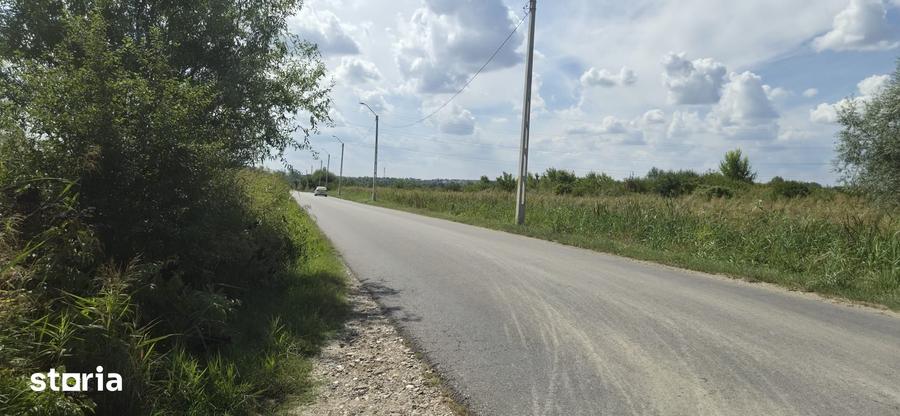 Teren de 18600 mp, în Ștefănești