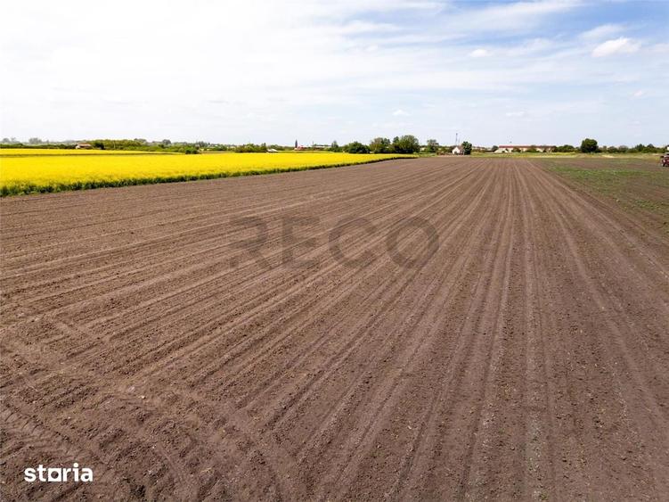 Teren de 13400 mp, în Borș