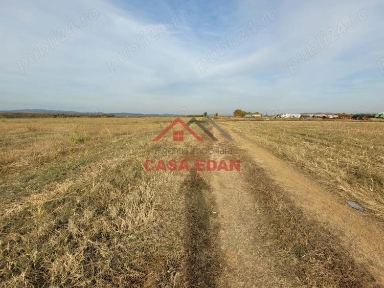 Teren intravilan in Baicoi zona targului--10.000mp--5e - 6
