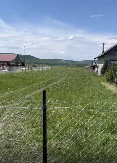 Teren de 14000 mp, în Chintelnic