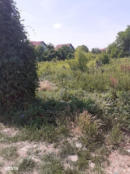 Teren de 3000 mp, în Bucov