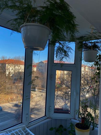 Apartament cu 2 camere decomandat în Exterior Vest