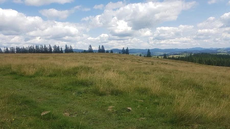 Teren de 160000 mp, în Breaza