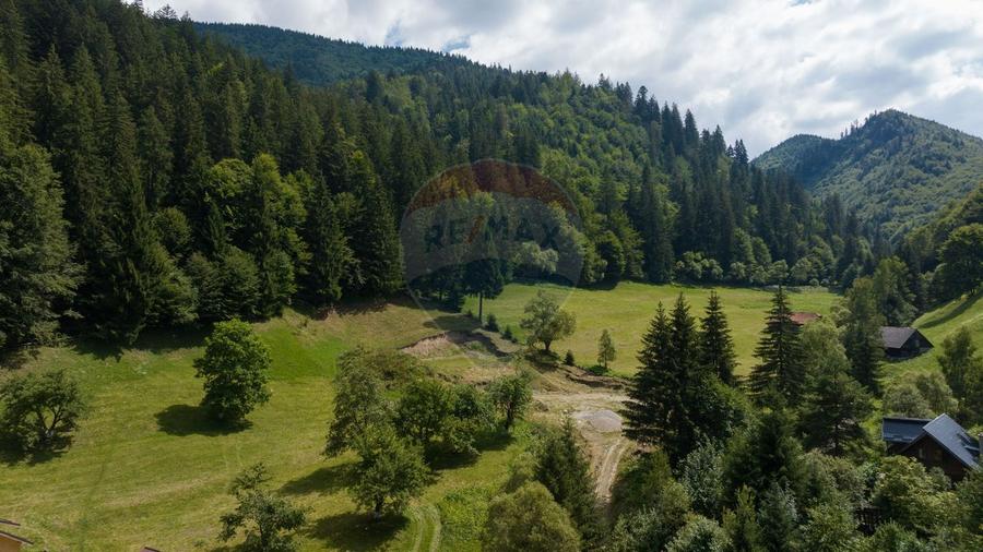 Teren Construcții intravilan de 2891 mp, în Bran