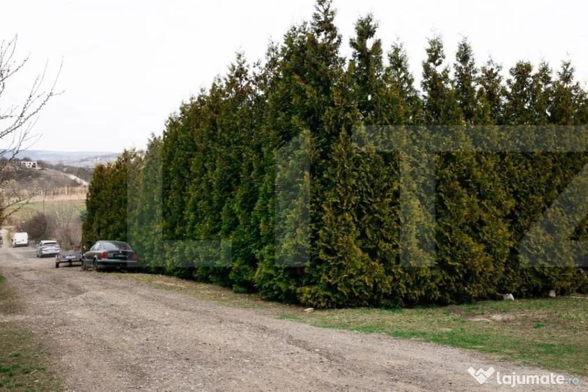 Teren în Borhanci
