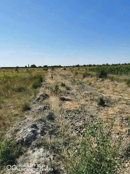 Teren de 1000 mp, în Păușa
