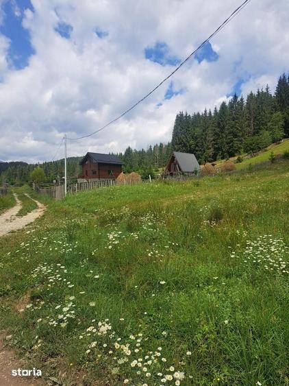 Teren de 2500 mp, în Valea Doftanei