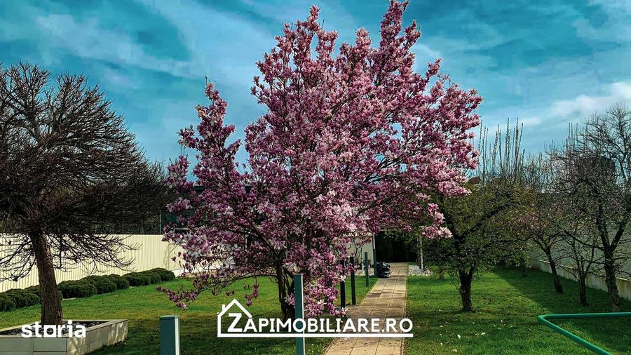 Casă cu 7 camere cu Teren 1259 Mp în Unirii
