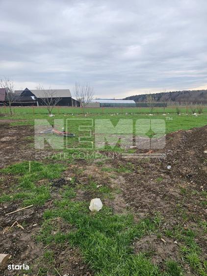 Casă cu 5 camere cu Teren 6000 Mp în Burla