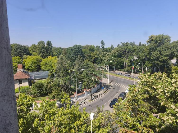 Apartament 2 camere Gradina Botanica - 4