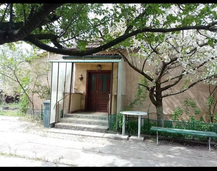 Casă cu Teren 1872 Mp în Central