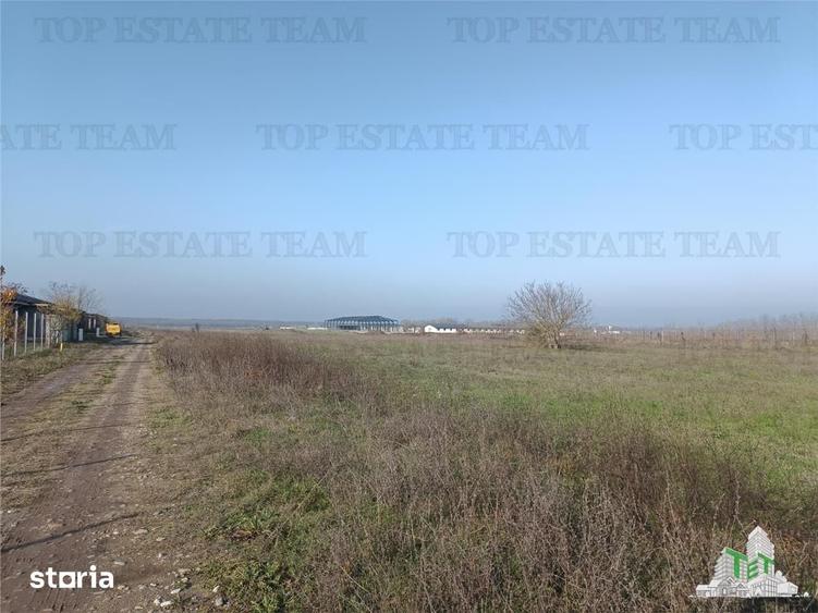 Teren de 8050 mp, în Gruiu