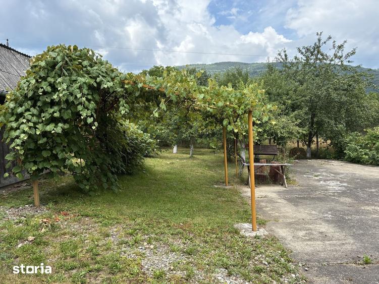 Casă cu 4 camere cu Teren 1300 Mp în Băi