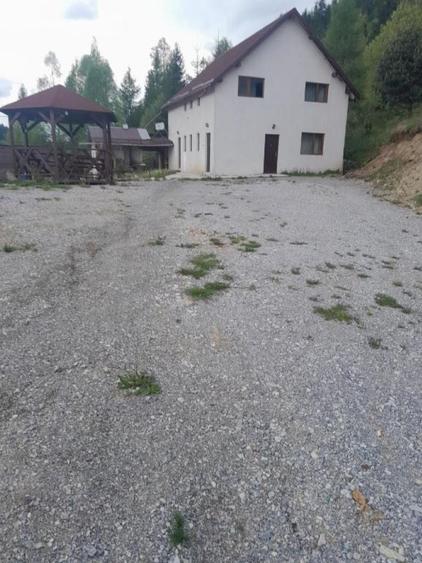 Hotel/Pensiune, de 16 mp, în Ciocănești