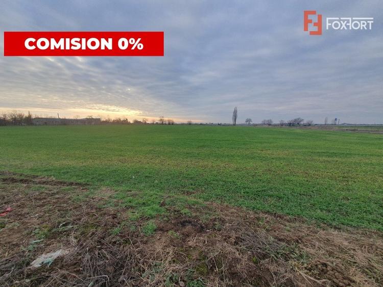 Teren agricol extravilan de 213257 mp, în Sud