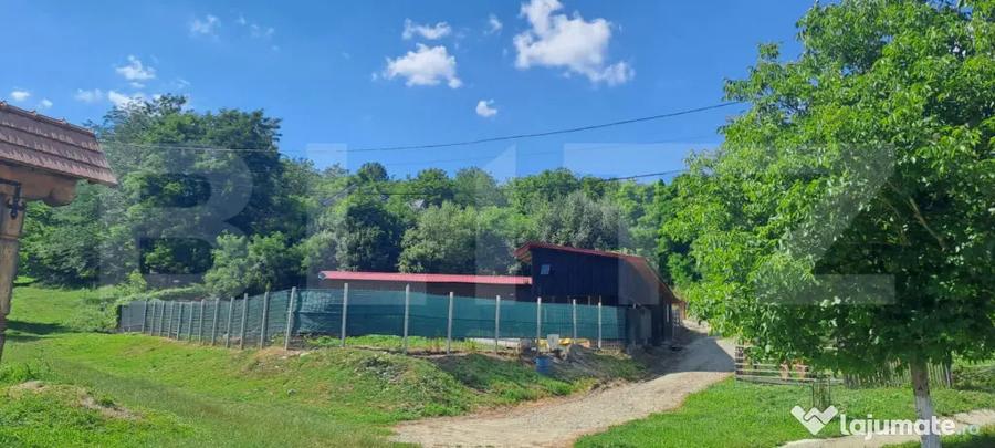 Casă cu 4 camere cu Teren 6500 Mp în Feldioara