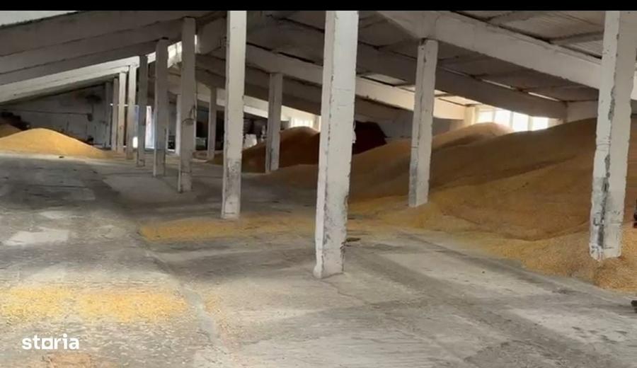 Spațiu comercial, în Industrială