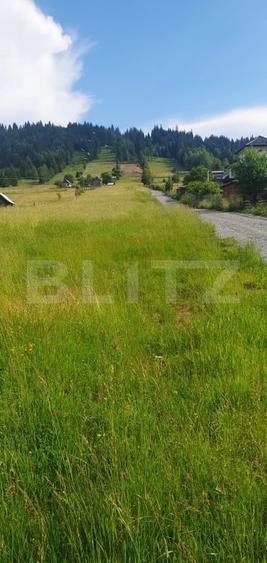 Teren Construcții intravilan de 9755 mp, în Vatra Dornei