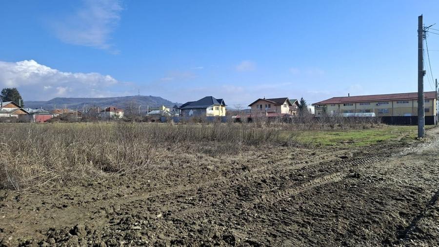 Teren Construcții intravilan de 3633 mp, în Ștefănești