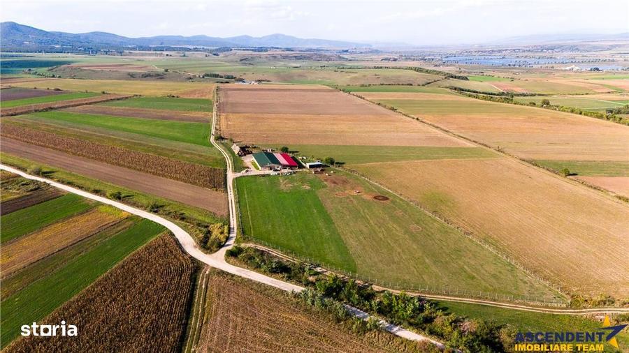 Teren de 18000 mp, în Feldioara