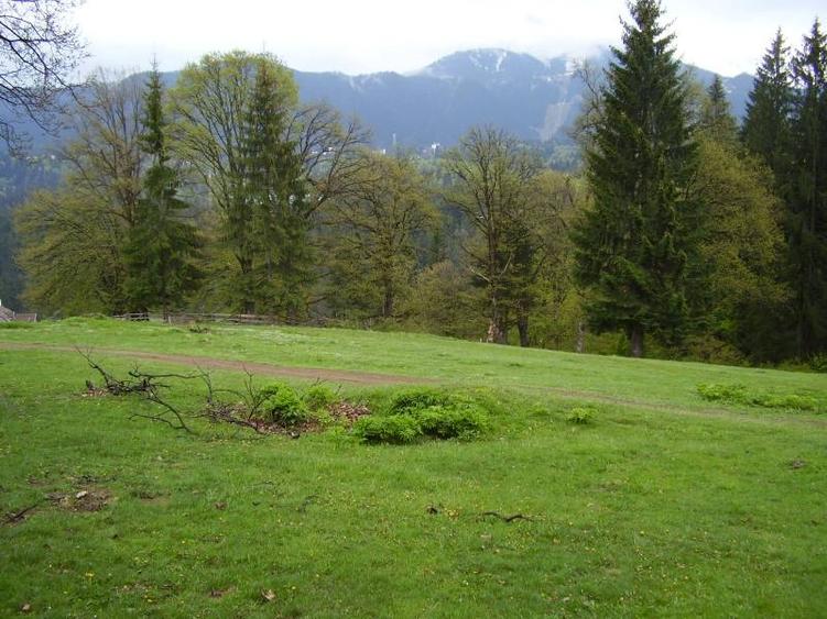 Teren intravilan de 3200 mp, în Poiana Brașov
