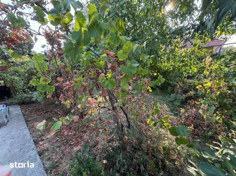 Teren de 418 mp, în Central