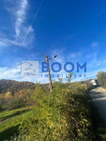 Teren Construcții intravilan de 1000 mp, în Vlădești