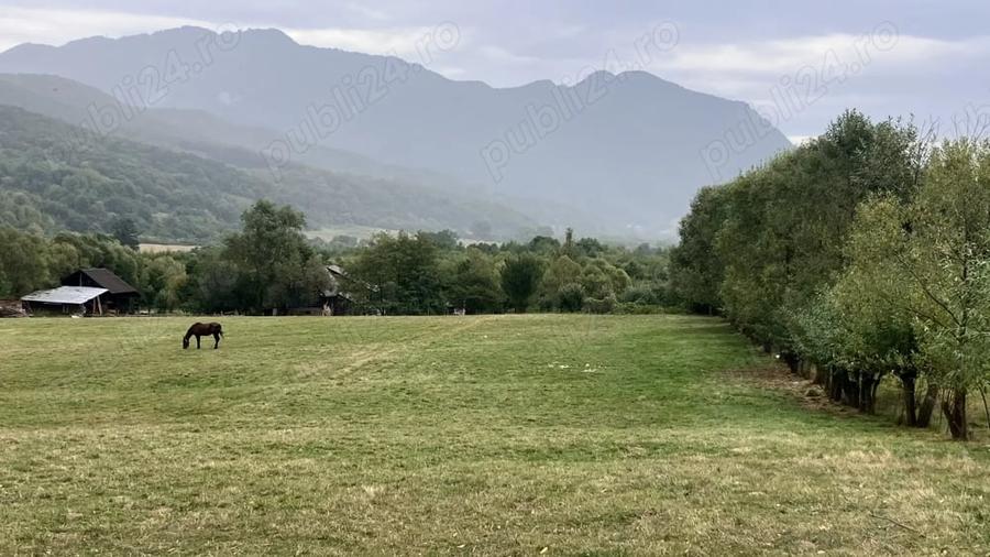 Teren de 3880 mp, în Cheia
