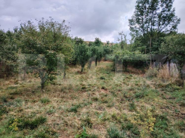 Teren intraviln, 1151 mp, zona Martinesti - 3