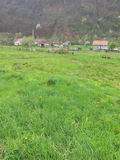 Teren agricol intravilan de 4719 mp, în Bulz
