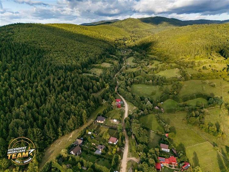 Teren Construcții extravilan de 4800 mp, în Ojdula