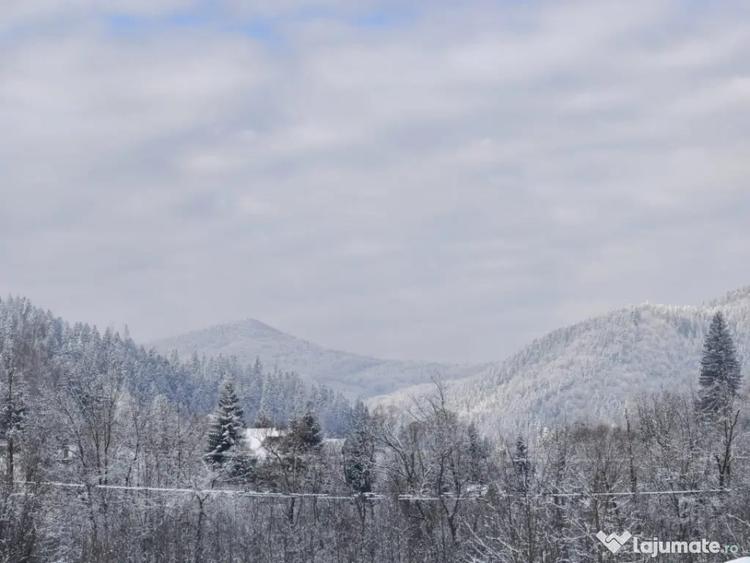 Teren de 22600 mp, în Sucevița