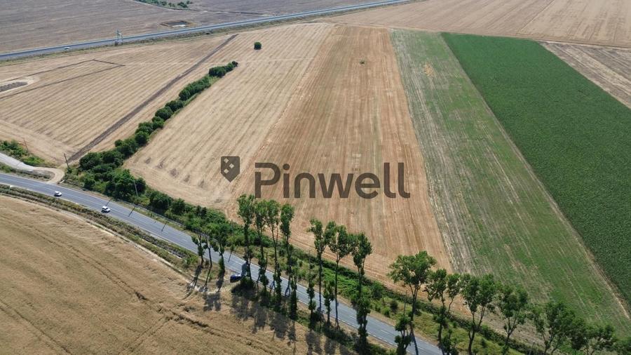 Teren Construcții intravilan de 26000 mp, în Ștefăneștii de Jos