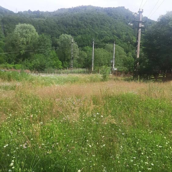 Teren de 1081 mp, în Malaia
