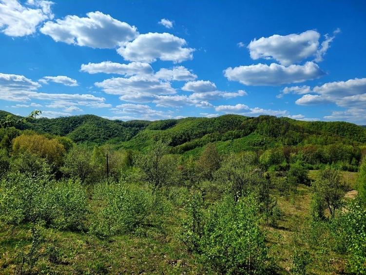 Teren de 70000 mp, în Șerani