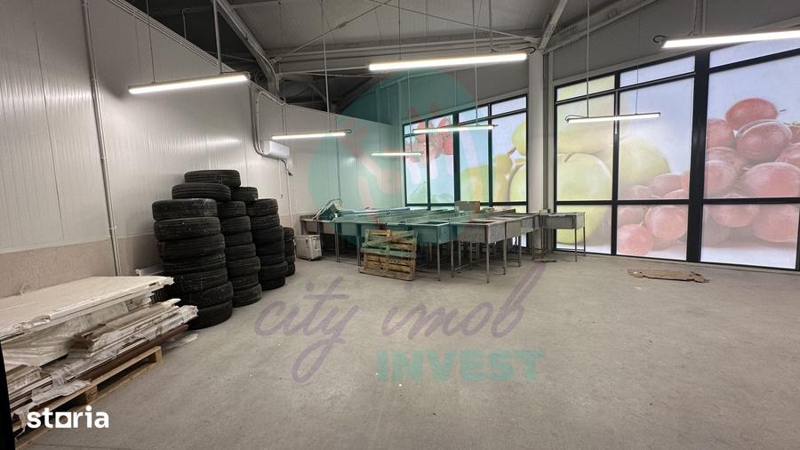 Spatii comerciale de inchiriat in PIATA DELFINULUI - 1