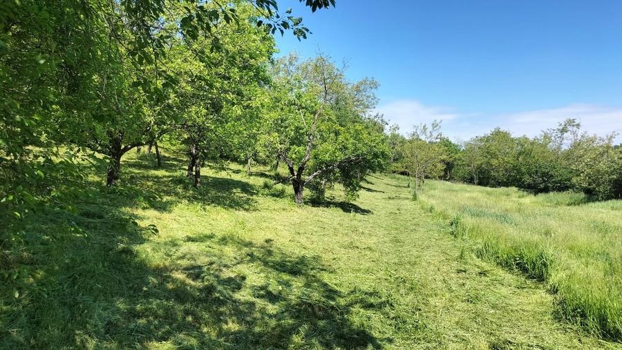 Casă individuală cu 5 camere cu Canalizare în Dragodana