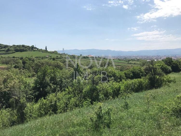 Teren agricol extravilan de 8000 mp, în Gușterița