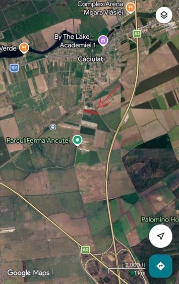 Teren agricol intravilan de 9673 mp, în Moara Vlăsiei