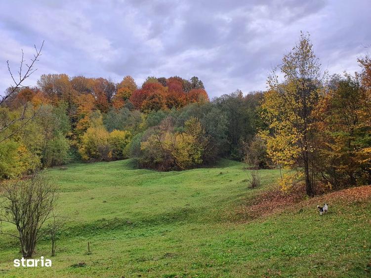 Teren de 20000 mp, în Valea