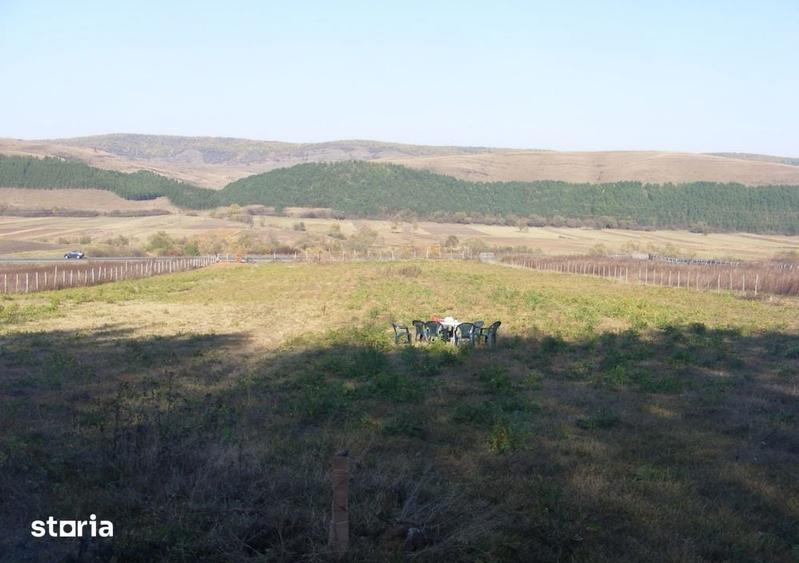 Teren de 10800 mp, în Căpușu Mare